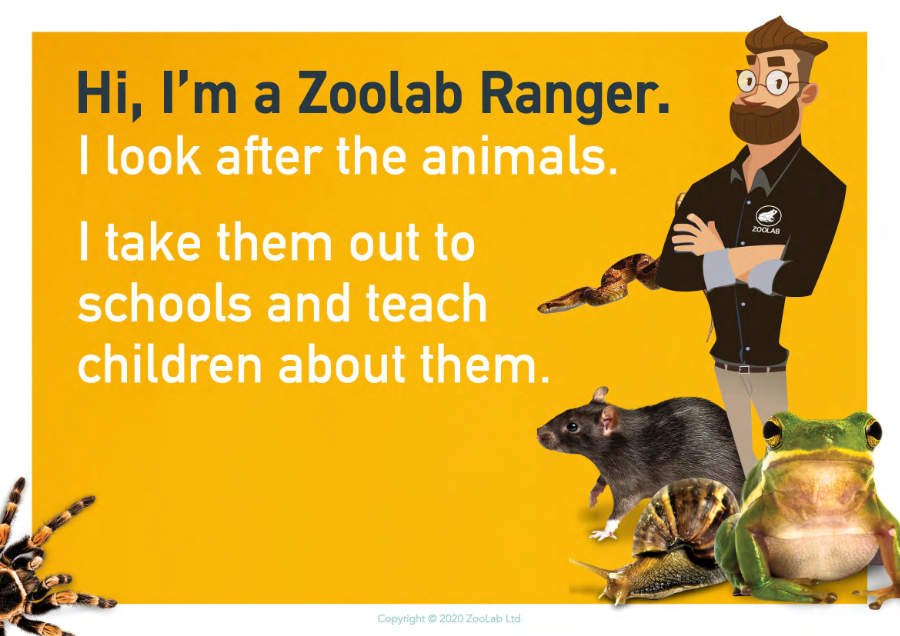 Spooky Halloween Visit to Rowans Day Nursery From Zoolab team - creepy crawlies pets